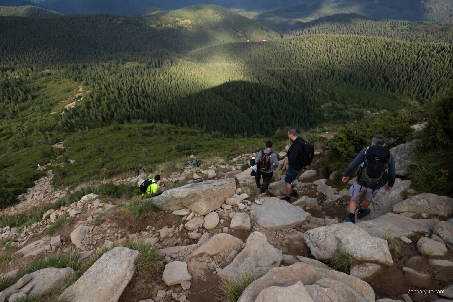 Veterans descending Mount Hoverla above the forested Ukrainian Carpathians